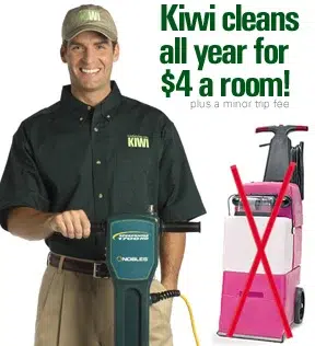Kiwi Services provides fast Upholstery cleaning