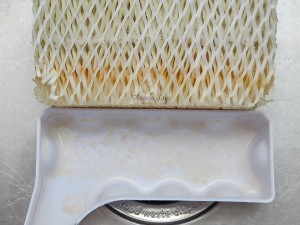 How to Clean a Humidifier and Disinfect it- Angela Says