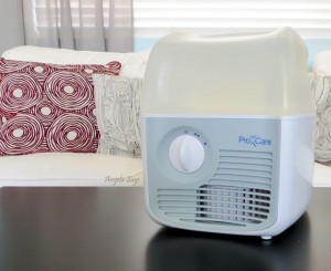 How to Clean a Humidifier and Disinfect it- Angela Says